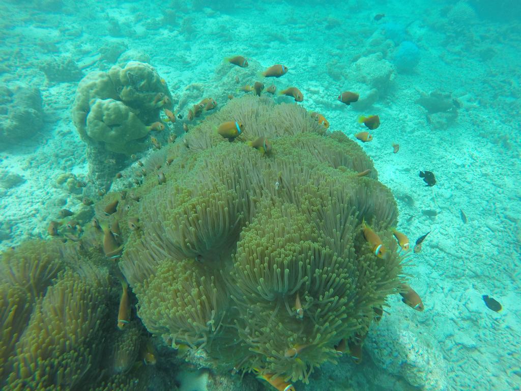 Rasdhoo Relax Inn Luaran gambar