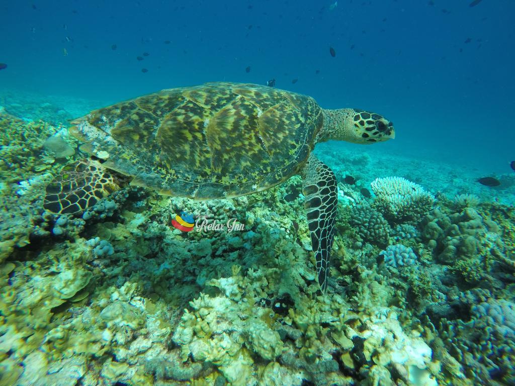 Rasdhoo Relax Inn Luaran gambar
